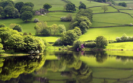 Beautiful Landscape - trees, nature, beautiful, fields, reflection