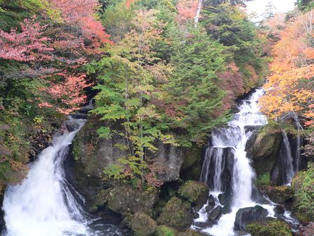 pretty waterfall - scenery, trees, waterfall