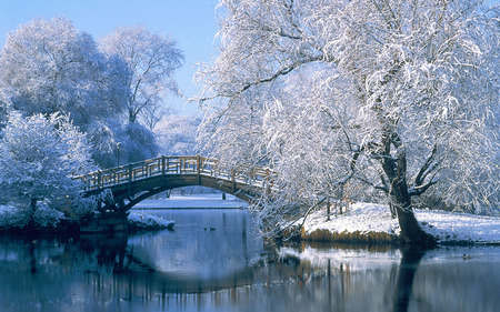 wintery river - bridge, snow, river