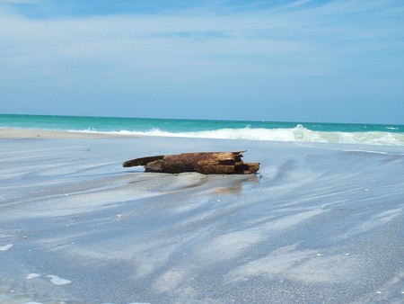 ~The Beautiful Beaches of Egmont Key, Florida~ - ocean, beach, sky, florida, water, fort, exotic, waves, seafoam, nature, blue water, driftwood, clouds, island, sea, sand