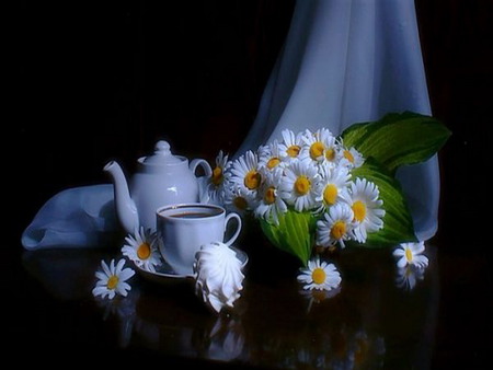 daisy - curtain, tea, flower, cake