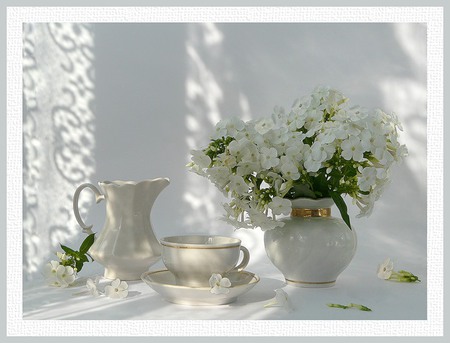 Elegance - gold trim, saucer, still life, cup, vase, curtain, white, pitcher, petals, white phlox, flowers