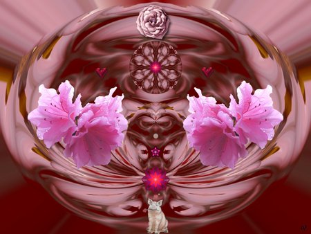 Pink Piggy - fractal, eye candy, abstract