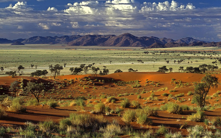 SAVANNA - photograph, late afternoon in african savanna, colours of the nature