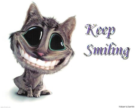 GRINNING CAT - grinning cat, message