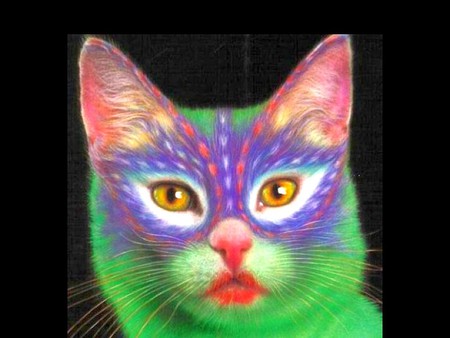 Painted Cat