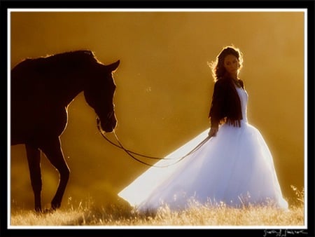 walk - fairytale, horse, walk, dawn