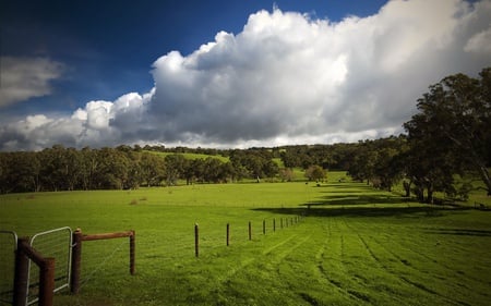 leaving to countryside - fields, nature