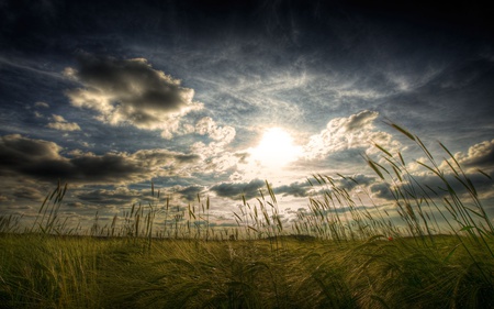 world is beautiful today - sky, nature