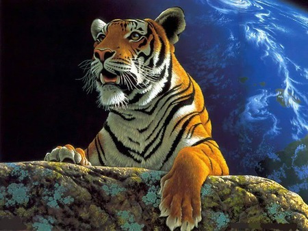 BIG CAT - hill, animal, oilpainting, rock, tiger, cat