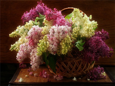 lilac - colorful, bouquet, basket, flower