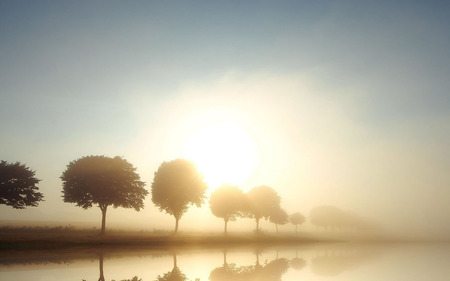 Autumn Desktop - trees, sun rays, blue, sunshine, desktop, skies, nature, autumn, sun