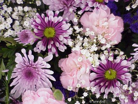 Speacil .jpg - boquet, purple, babybreath, pink