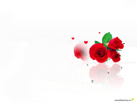 Roses. jpg - white, three, red, roses