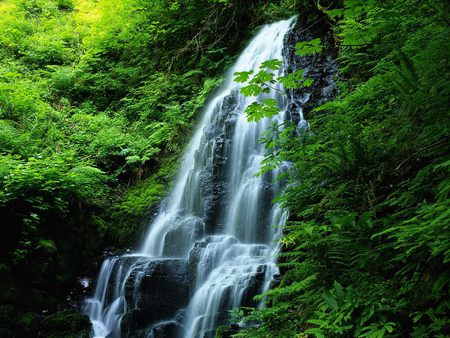 superb waterfall - scenery, trees, waterfall