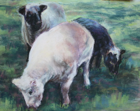 Sheep after shearing - pastel, sheep after shearing, dolly sheep, animals