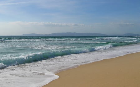 Feels like summer - nature, water, summer, beach