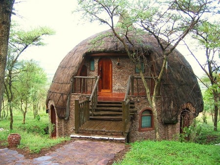 Serengeti park house - house, trees, africa, serengeti, round, park