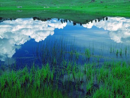 Dizzy  - nature, blue, green, lake, reflection, sky