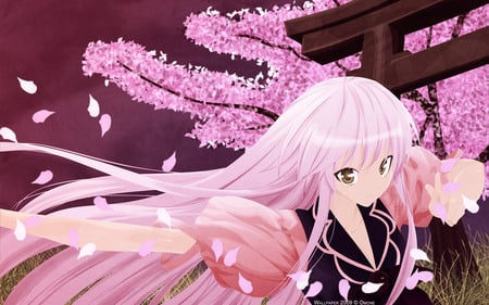 Sakura Girl - cute, anime, sakura