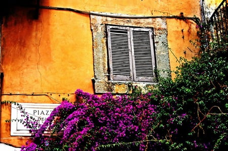 Colorful detail - window, yellow, sign, violet