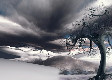 Twisted winter - sky, cold, dark, snow, winter, tree, twisted