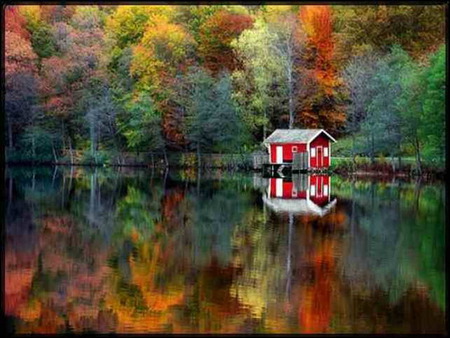 reflection - autumn, house, forest, river