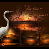 charme of the sunset