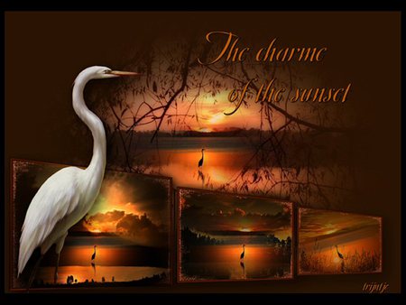 charme of the sunset - sunset, charme