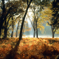 Autumn Landscape