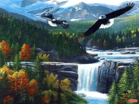 Freedom-Falls - water, eagles