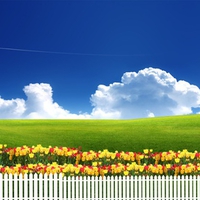fantasy happy world