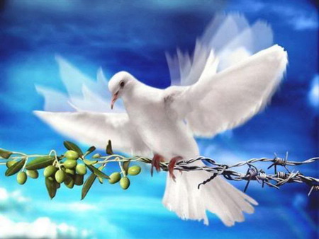 peace - white, olive, dove, wire