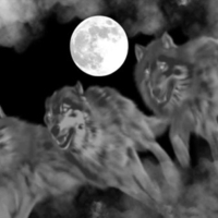 Ghost Pack . jpg