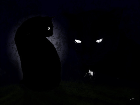 Ninja Kat. jpg - cat, glow dark sitting, black