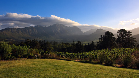 vineyards of Franschhoeks - valley, nature, mountain