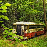 vintage forest bus