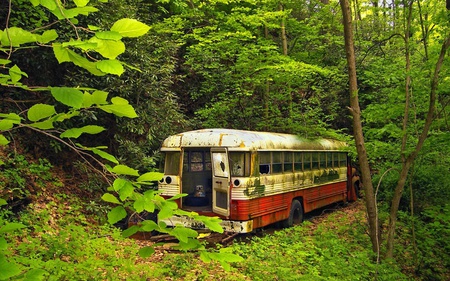 vintage forest bus - photography, abstract