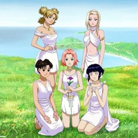 The Girls Of Naruto