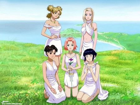 The Girls Of Naruto - tenten sakura, and, ino, hinata, the girls of naruto, timari