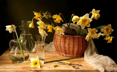 Daffodil Still - vases, white fabric, daffodils, scissors, basket