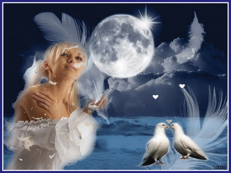 love - moon, feather, dove, magic