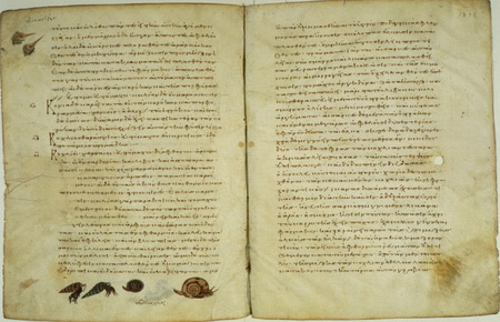 SCRIPTORIUM 3 - text on medicine, medieval book