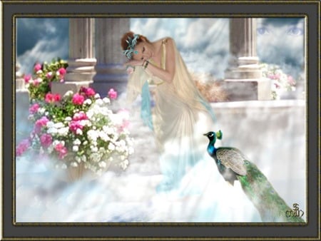 heaven - bird, flowers, hera, sky