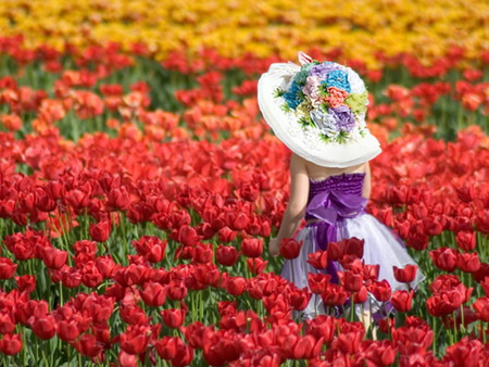 tulips - colorful, kid, field, flowers