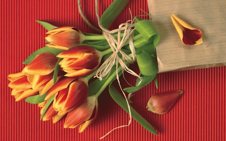 Firy Tulips - flowers, tulips, yellow, red