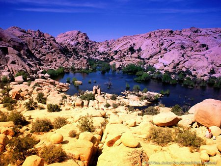 at the park - sky, naturel, water, park, rocks