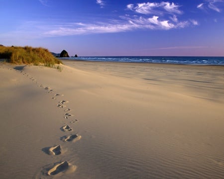 footsteps on sand - relaxing, sky, footsteps, beach, beautiful, summer, sand, sea