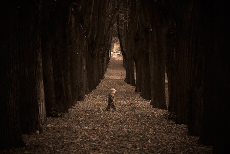 LITTLE BOY LOST IN FOREST - woods, boy, lost