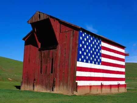 Pride - flag, barn